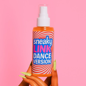 Sneaky Link (Dance Version)