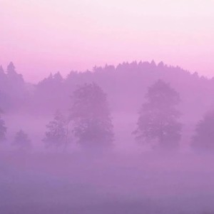 你把红豆赠我不如写我一首歌