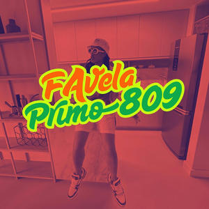 Favela (feat. Dj 809 & DJ twinz)