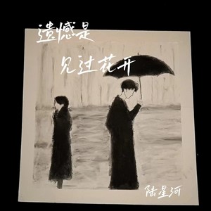 遗憾是见过花开-陆星河