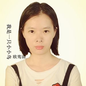 我是一只小小鸟