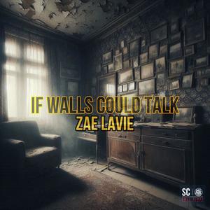 If Walls Could Talk (Explicit)