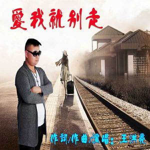 爱我就别走 (伴奏)封面