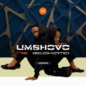 Ekuphakameni (feat. Shwi & Mabusi)