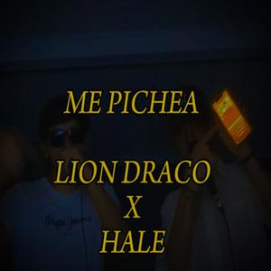 ME PICHEA (feat. Hale)
