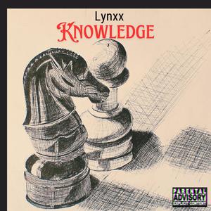 Knowledge (Explicit)