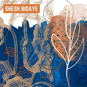 Shesh Bidaye (2011)