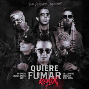 Ella Quiere Fumar (feat. Nio, Casper El Magico, Darrell, DeLa Geezy, Miky & Allmighty) (Remix)
