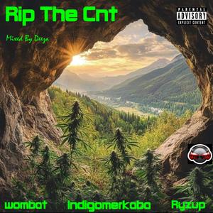 Rip The Cnt (Hazy Version) (feat. Wombat & Indigomerkaba) [Explicit]