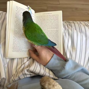 一辈子很短 我愿意和你将错就错