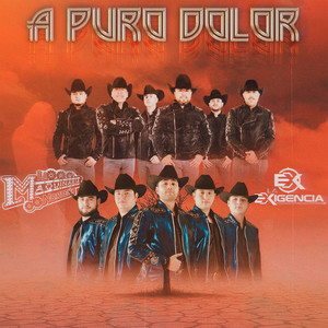 A Puro Dolor