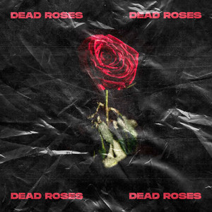 Dead Roses (Remastered|Explicit)