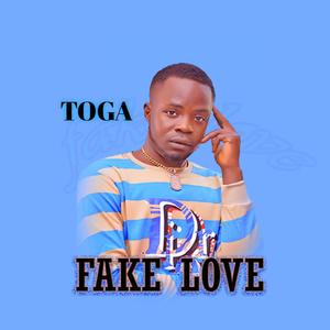 Fake Love