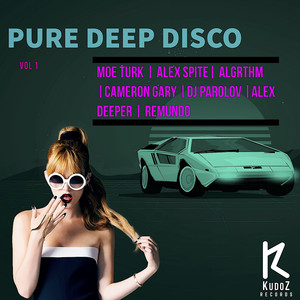 Pure Deep Disco