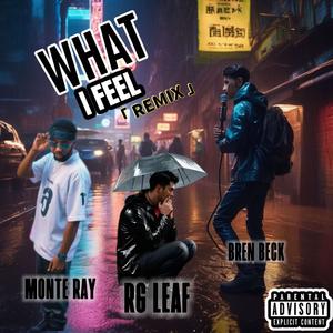 What I Feel (feat. Monte Ray & Bren Beck) [Explicit]