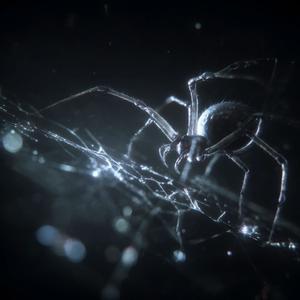 Spider Bites. (Explicit)