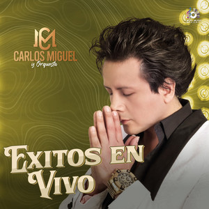 Te Sigo Amando (En Vivo)