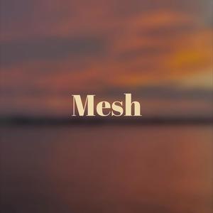 Mesh