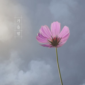 가을이 내 곁으로 온다 (Autumn comes next to me)