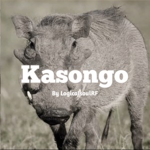 Kasongo (Remix)