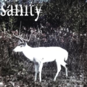 for my fans (feat. Icy Eli) (Explicit)