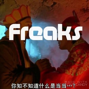 Timmy Trumpet-Freaks (张宗男 Remix)