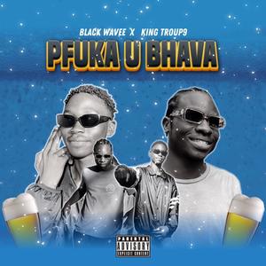 PFHUKA U BAVA (feat. KING TROUP9) [Explicit]