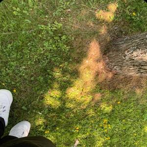 never sleep (Explicit)