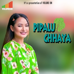 Pipalu Chhaya (Freestyle)