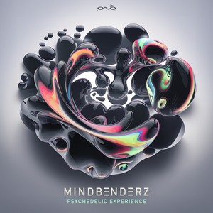 Psychedelic Experience (Original Mix)