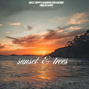 sunset & trees (feat. iiconic & shaunpolitoo) (Explicit)