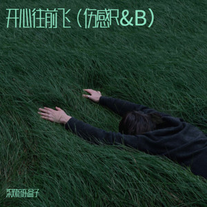 开心往前飞封面