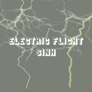 Electric Flight