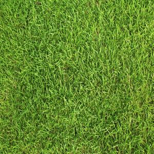 Green (Explicit)