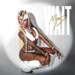 Wait (Explicit)