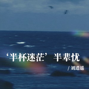 半杯迷茫半辈忧 (伴奏)