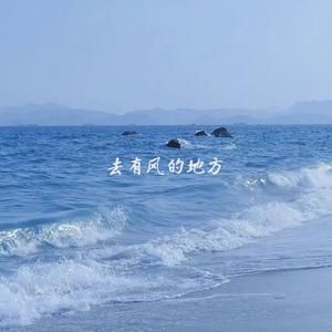 去有风的地方 (DJ版)