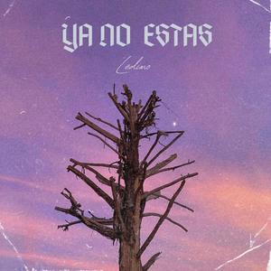 Ya no estás