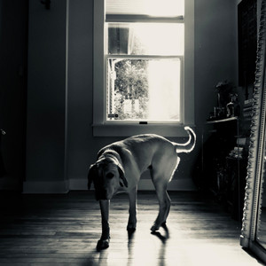 Ode to Viceroy(feat. Chuckie & Luthando)