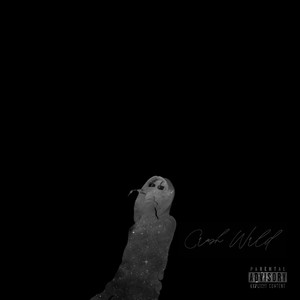 CRASHWl2LD (Explicit)