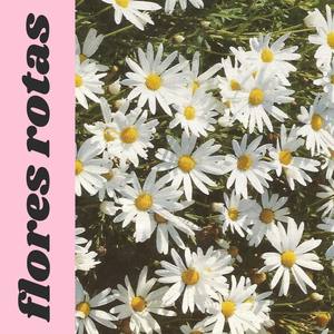 Flores Rotas (Explicit)