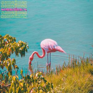 SHWIGGY - sometimes (Explicit)