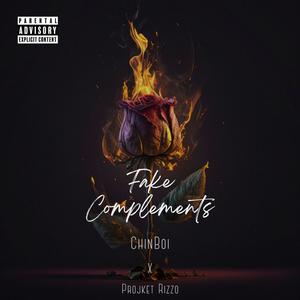 Fake Complements (feat. Projekt Rizzo) [Explicit]