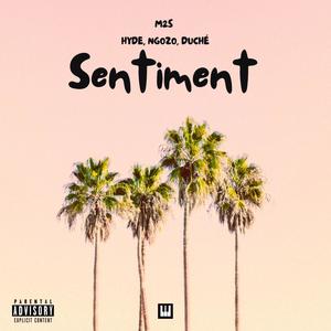 Sentiment (feat. Hyde, Ngozo & Douche)