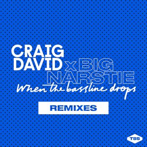 Craig David - When the Bassline Drops (Todd Terry Remix)