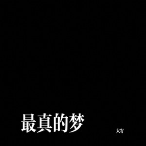 最真的梦-大宥