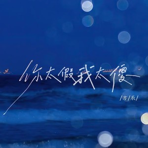 你太假我太傻