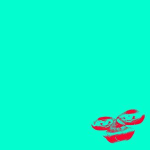 LA HAINE D'ÊTRE NÉE ICI (Explicit)