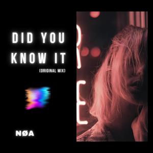 Did You Know It (Original Mix)