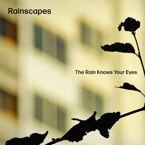 The rain knows your eyes